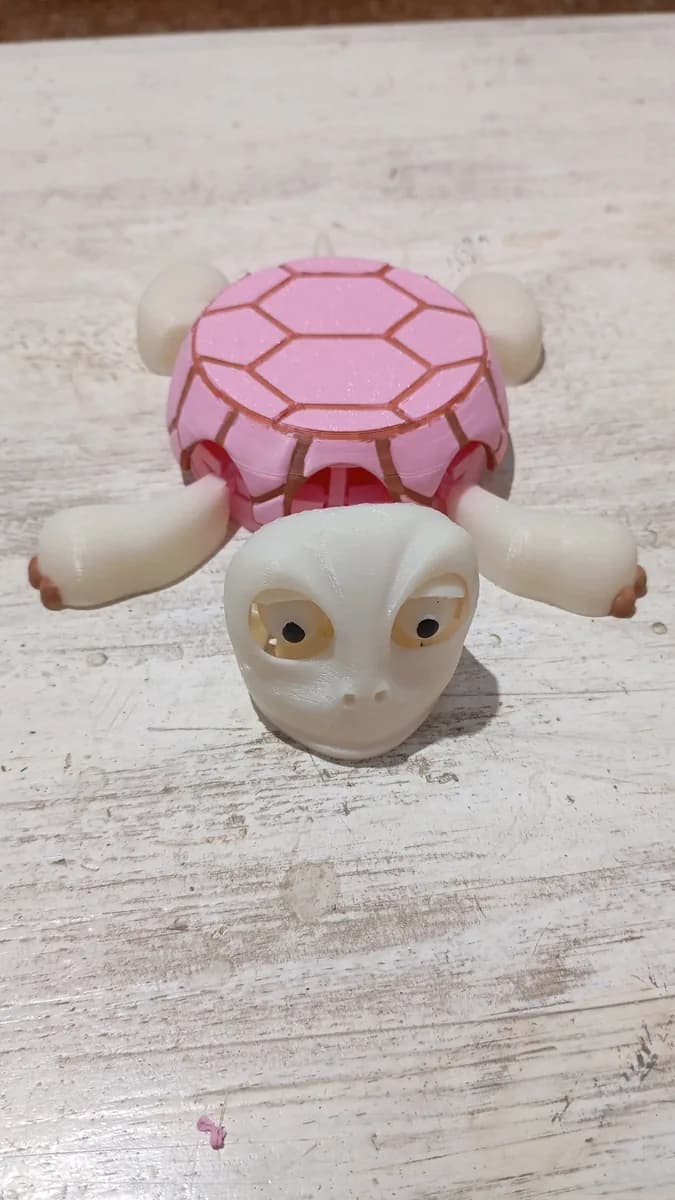 Hasil cetak Turtle shell (coaster) wireless charger adaptor oleh user_2997367368