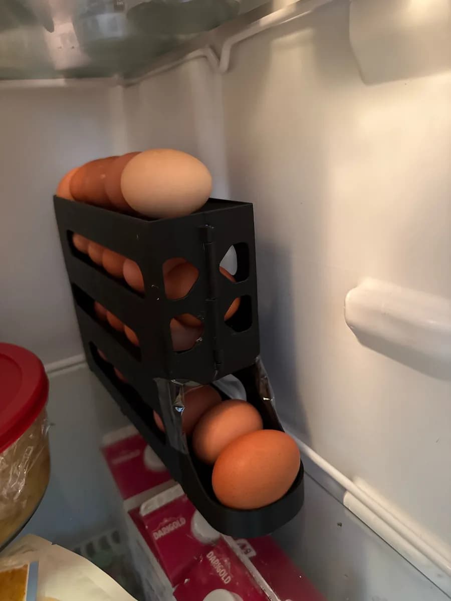 Hasil cetak Egg Storage and Dispenser P/X1 (no supports/hardware/adhesive) oleh nm4223