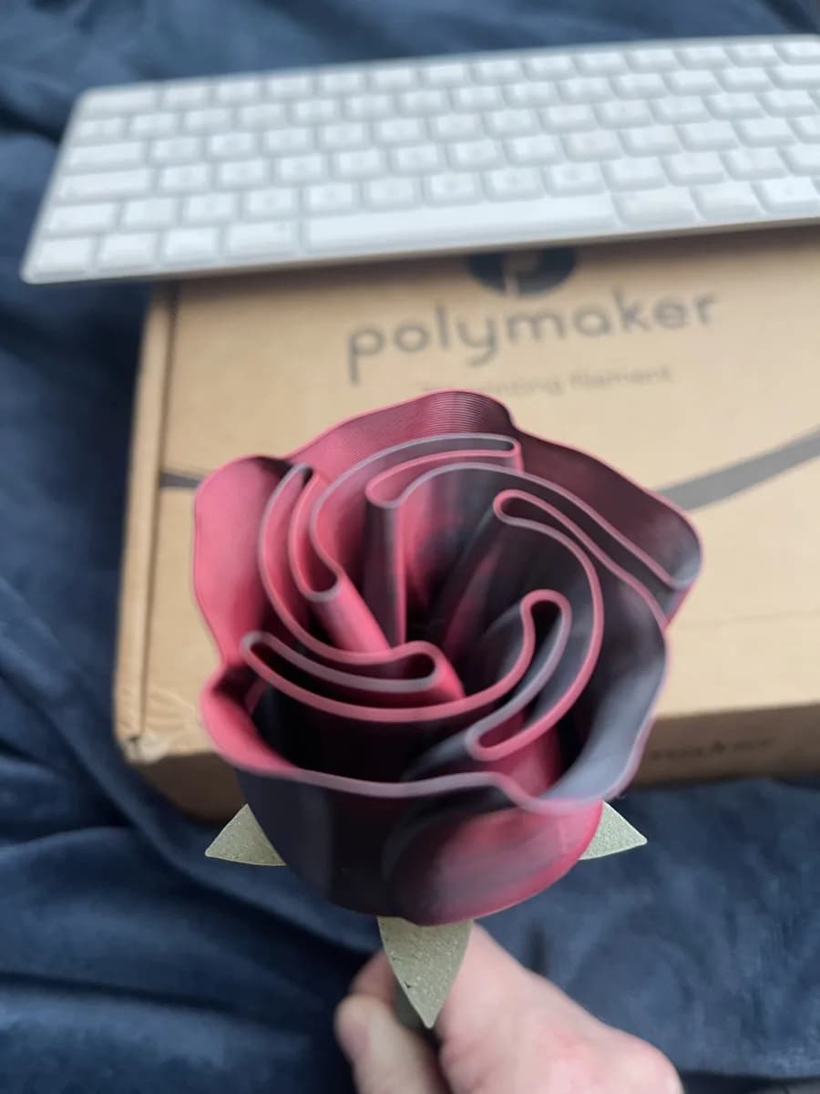 Hasil cetak Beautiful Rose w Stem - International Woman’s Day oleh KarlFenton