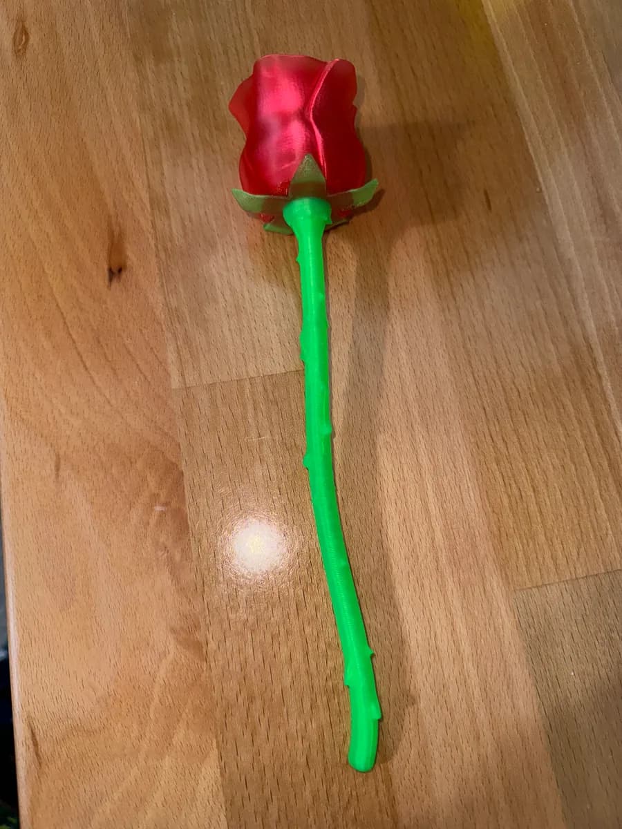 Hasil cetak Beautiful Rose w Stem - International Woman’s Day oleh egg.auxin0s